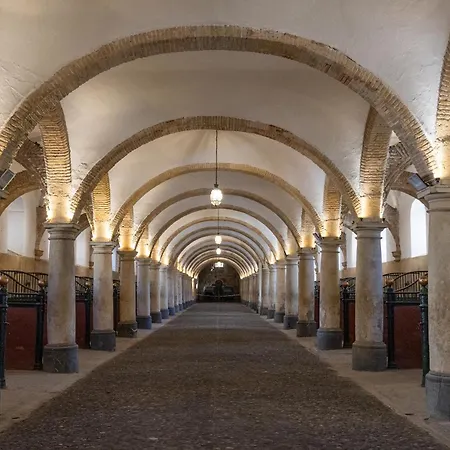 Private Balcony Walk To Mezquita Alcazar 公寓 科爾多瓦