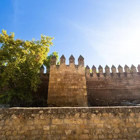 公寓 Private Balcony Walk To Mezquita Alcazar *